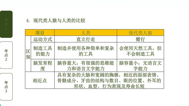 初中生物中考复习 第1讲 人的由来课件PPT04