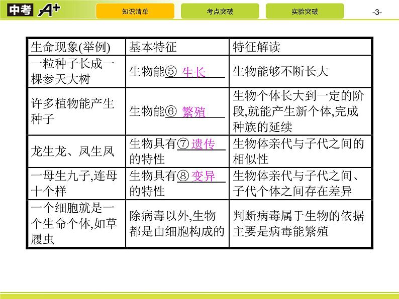 初中生物中考复习 第1讲　认识生物及生物与环境的关系课件PPT第3页