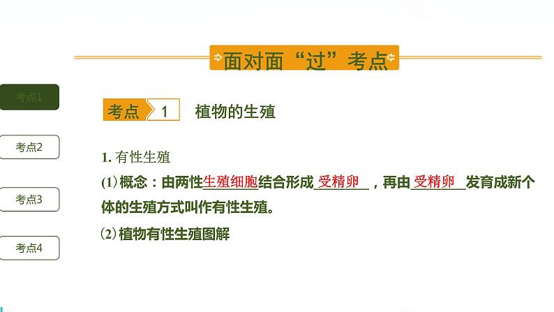 初中生物中考复习 第1讲 生物的生殖和发育课件PPT02