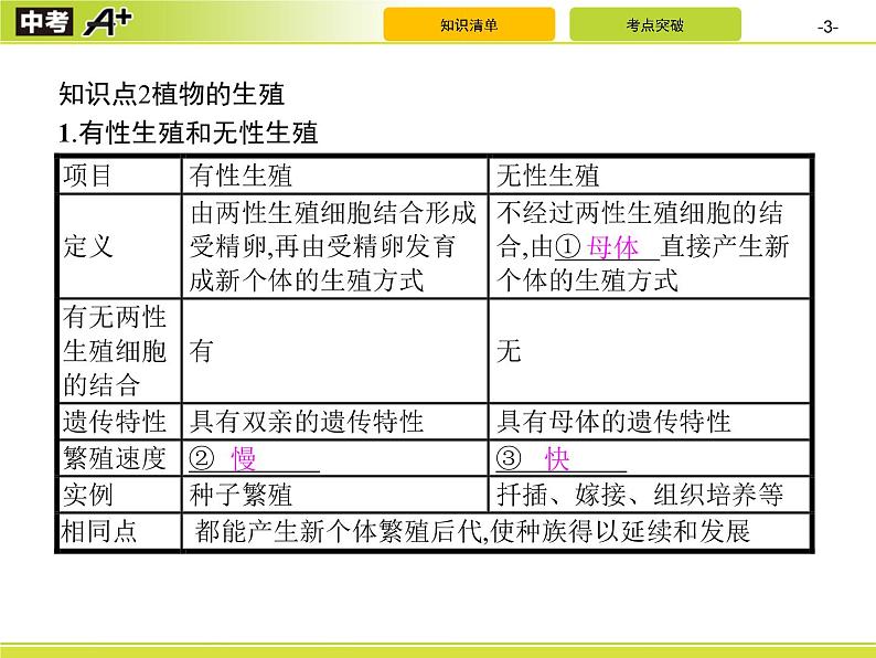 初中生物中考复习 第1讲　生物的生殖和发育课件PPT03