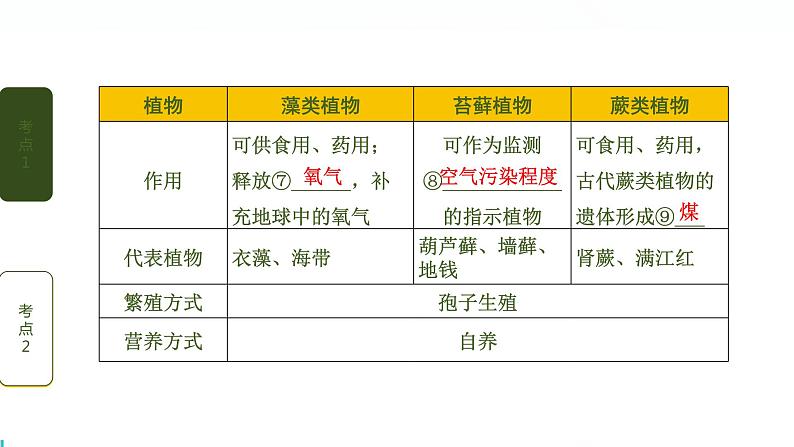 初中生物中考复习 第1讲 生物圈中有哪些绿色植物课件PPT03