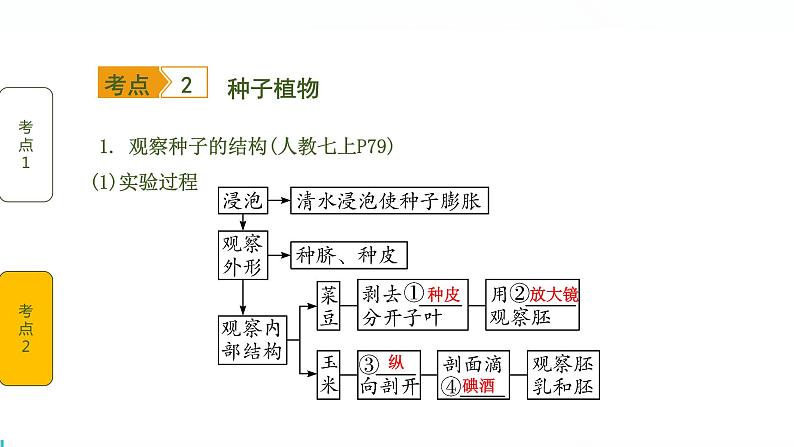 初中生物中考复习 第1讲 生物圈中有哪些绿色植物课件PPT07