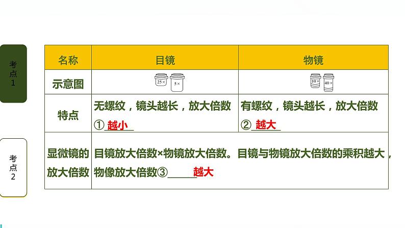 初中生物中考复习 第1讲 细胞是生命活动的基本单位课件PPT03