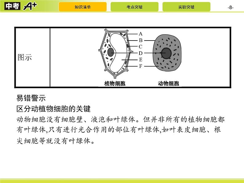 初中生物中考复习 第1讲　细胞是生命活动的基本单位课件PPT第8页