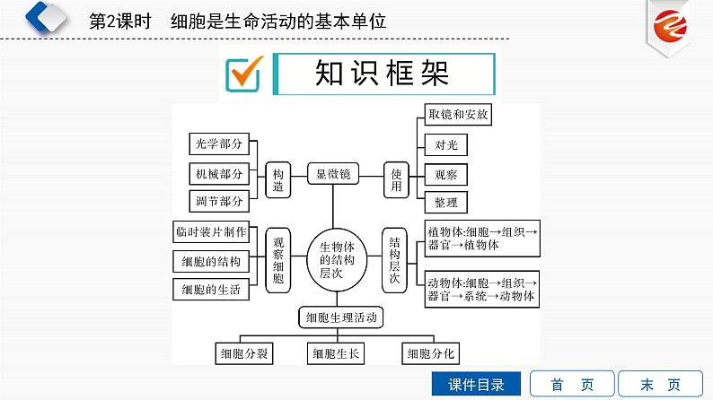 初中生物中考复习 第2单元　细胞是生命活动的基本单位课件PPT第3页