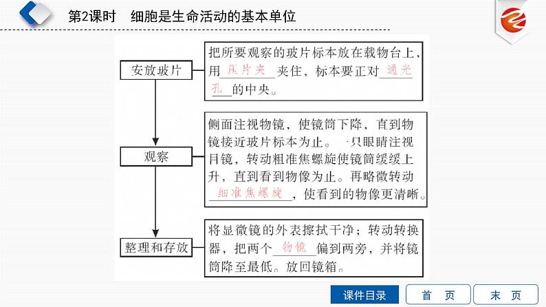 初中生物中考复习 第2单元　细胞是生命活动的基本单位课件PPT第7页