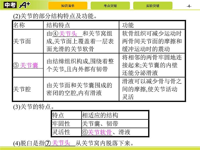 初中生物中考复习 第2讲　动物的运动和行为及动物在生物圈中的作用课件PPT04