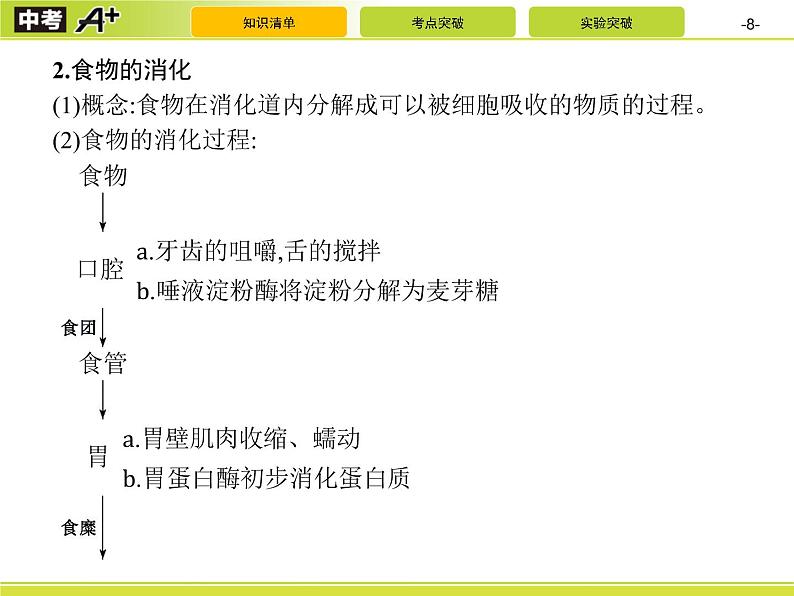 初中生物中考复习 第2讲　人体的营养课件PPT08