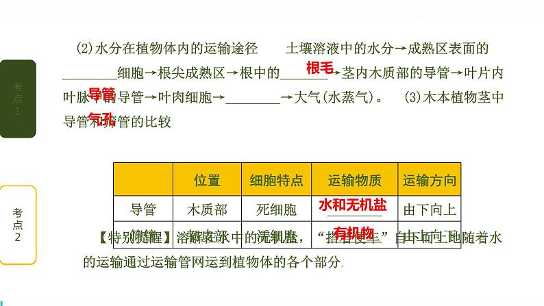 初中生物中考复习 第3讲 绿色植物与生物圈的水循环课件PPT第4页