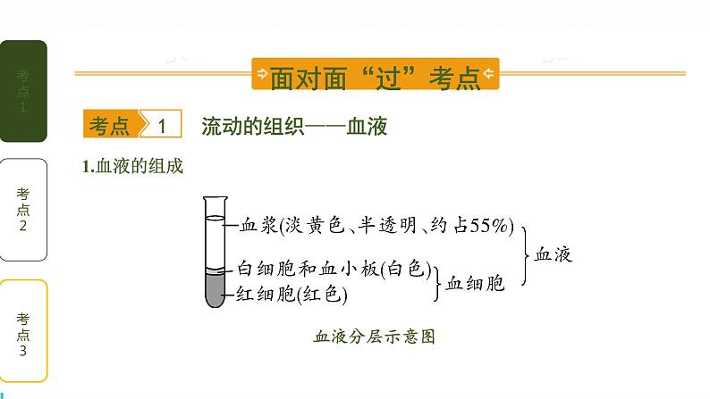 初中生物中考复习 第4讲 血液、血管、输血和血型课件PPT第2页