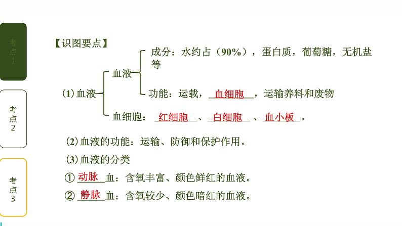 初中生物中考复习 第4讲 血液、血管、输血和血型课件PPT第3页