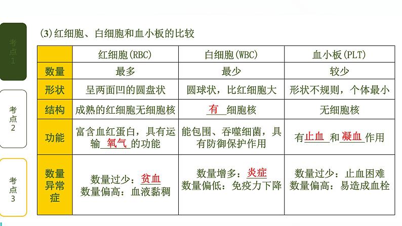 初中生物中考复习 第4讲 血液、血管、输血和血型课件PPT第5页