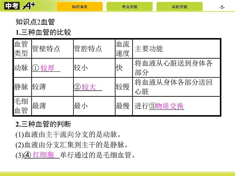 初中生物中考复习 第4讲　人体内物质的运输课件PPT05