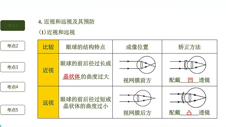 初中生物中考复习 第7讲 人体生命活动的调节与人类活动对生物圈的影响课件PPT06