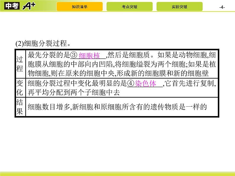初中生物中考复习 第2讲　细胞怎样构成生物体课件PPT第4页