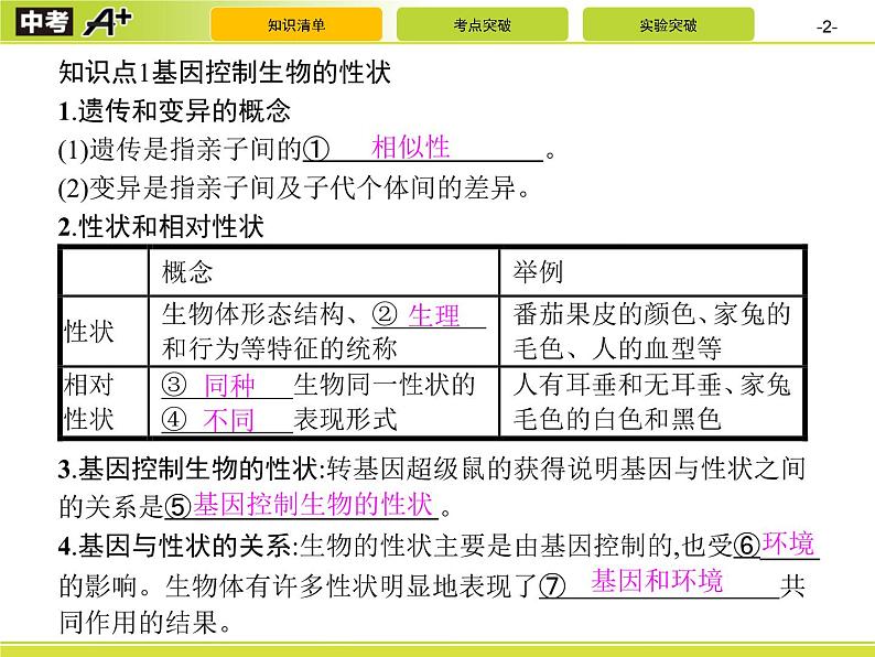 初中生物中考复习 第2讲　生物的遗传与变异课件PPT02