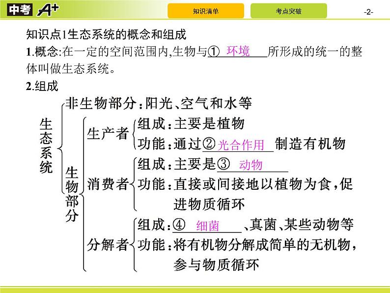 初中生物中考复习 第2讲　生态系统课件PPT第2页