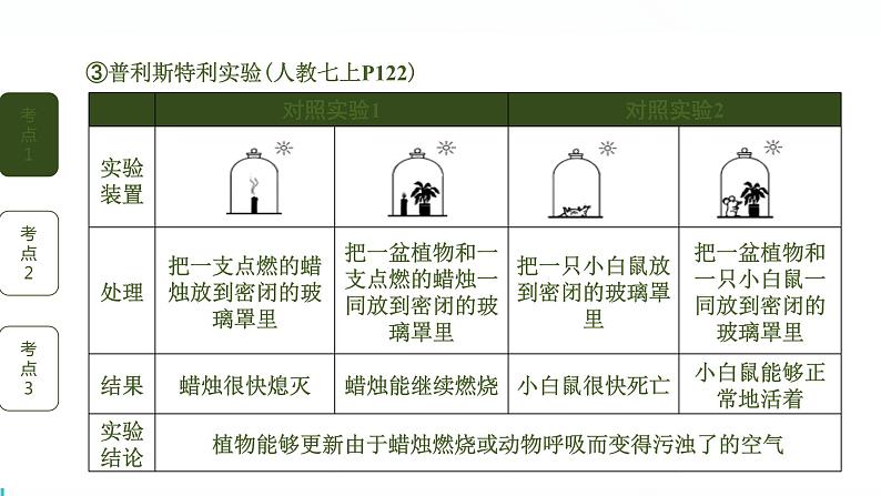 初中生物中考复习 第4讲 植物的光合作用、呼吸作用与植物在生物圈中的作用课件PPT03