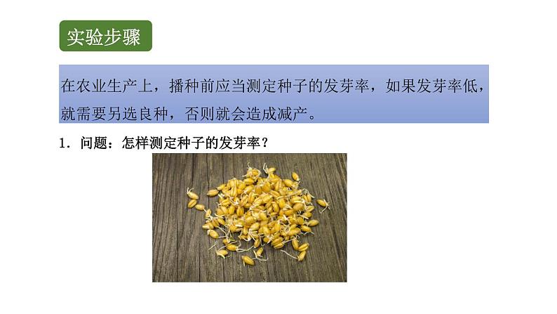 初中生物中考复习 初中生物实验突破（通用版）：测定种子的发芽率课件第5页