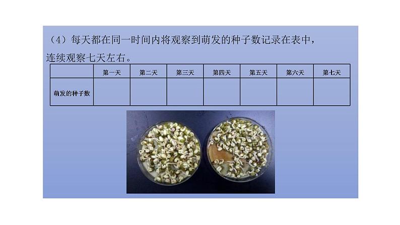 初中生物中考复习 初中生物实验突破（通用版）：测定种子的发芽率课件第8页