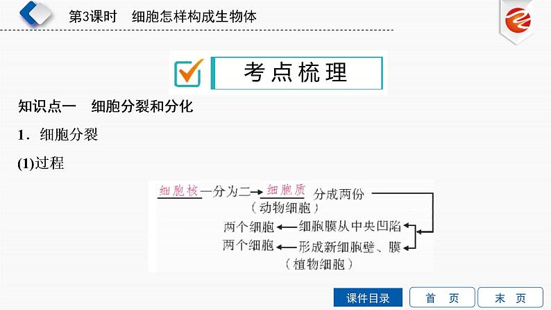 初中生物中考复习 第3单元　细胞怎样构成生物体课件PPT第3页