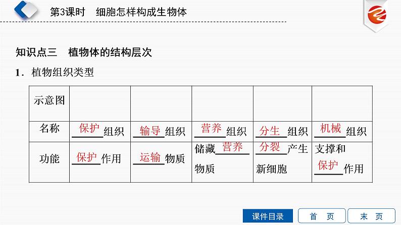 初中生物中考复习 第3单元　细胞怎样构成生物体课件PPT第8页