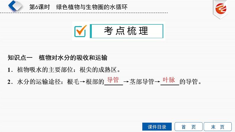 初中生物中考复习 第6单元　绿色植物与生物圈的水循环课件PPT第3页