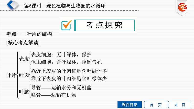 初中生物中考复习 第6单元　绿色植物与生物圈的水循环课件PPT第7页