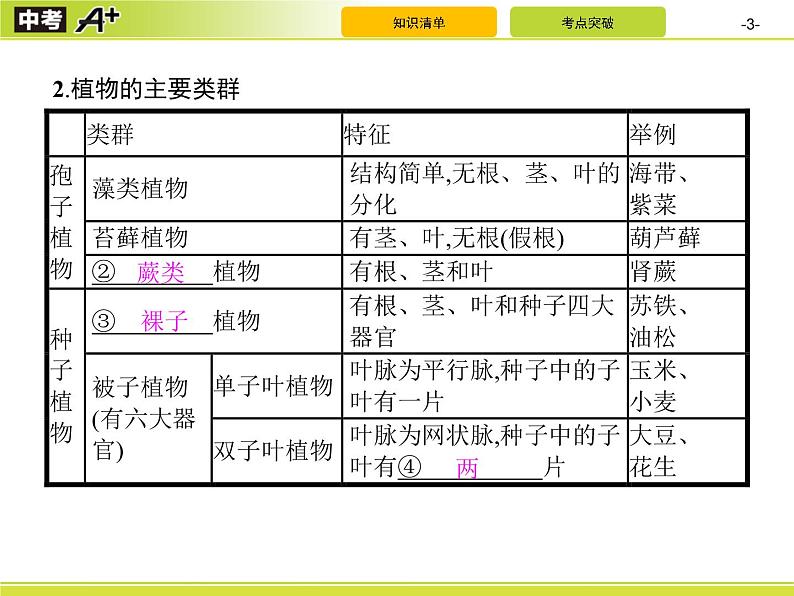 初中生物中考复习 第6单元　生物的多样性及其保护课件PPT03