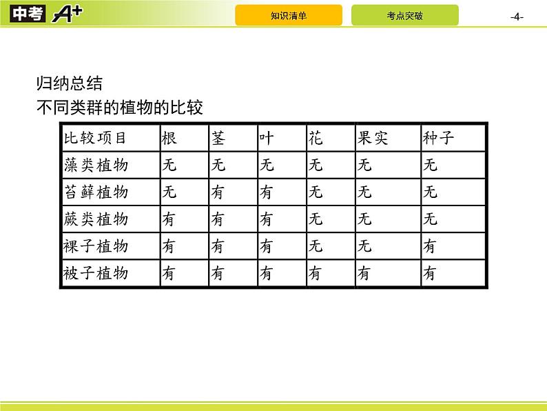 初中生物中考复习 第6单元　生物的多样性及其保护课件PPT04