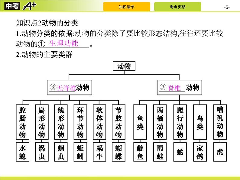 初中生物中考复习 第6单元　生物的多样性及其保护课件PPT05