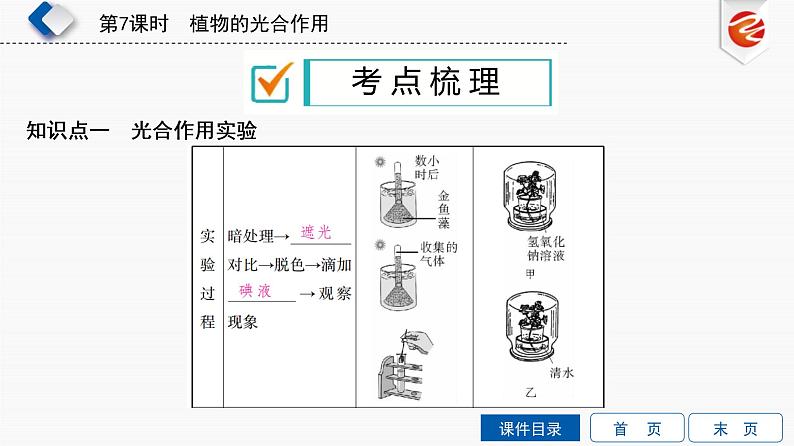 初中生物中考复习 第7单元　植物的光合作用课件PPT第3页