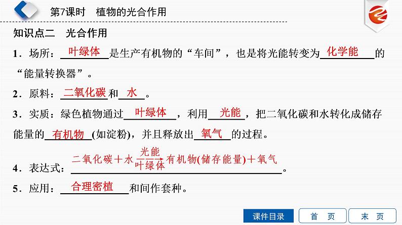 初中生物中考复习 第7单元　植物的光合作用课件PPT第5页