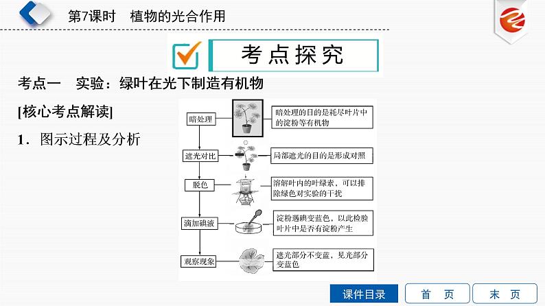 初中生物中考复习 第7单元　植物的光合作用课件PPT第6页