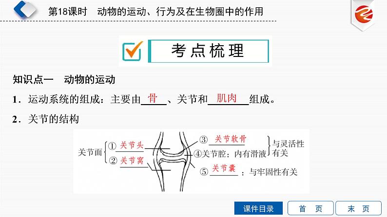 初中生物中考复习 第18单元　动物的运动、行为及在生物圈中的作用课件PPT03