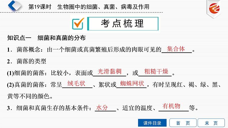 初中生物中考复习 第19单元　生物圈中的细菌、真菌、病毒及作用课件PPT03