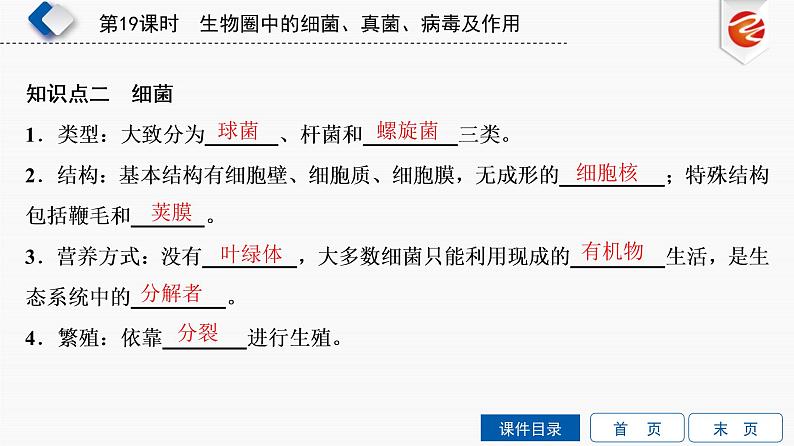 初中生物中考复习 第19单元　生物圈中的细菌、真菌、病毒及作用课件PPT04