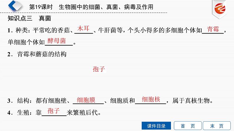 初中生物中考复习 第19单元　生物圈中的细菌、真菌、病毒及作用课件PPT05