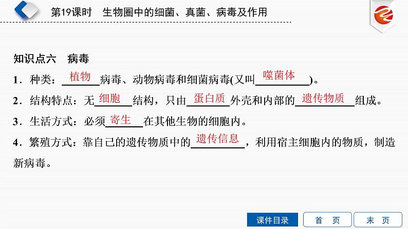 初中生物中考复习 第19单元　生物圈中的细菌、真菌、病毒及作用课件PPT08