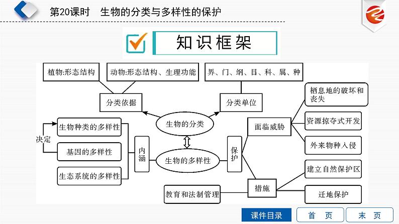 初中生物中考复习 第20单元　生物的分类与多样性的保护课件PPT03