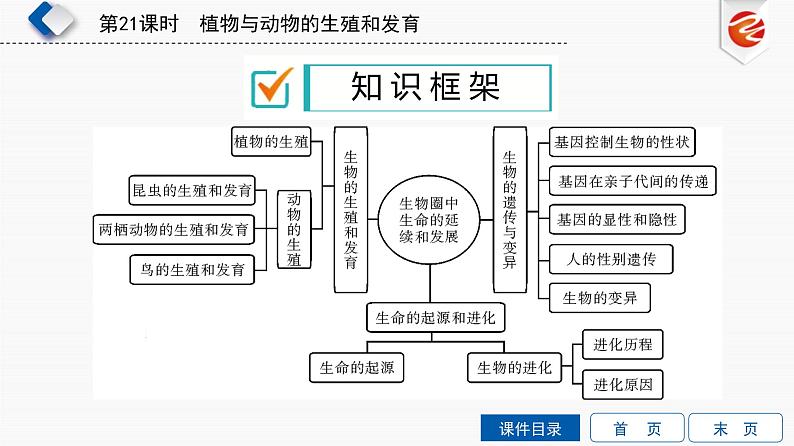 初中生物中考复习 第21单元　植物与动物的生殖和发育课件PPT第3页