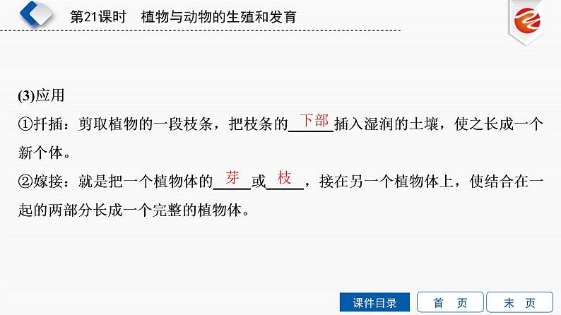 初中生物中考复习 第21单元　植物与动物的生殖和发育课件PPT第6页