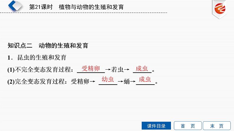 初中生物中考复习 第21单元　植物与动物的生殖和发育课件PPT第7页