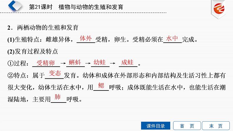 初中生物中考复习 第21单元　植物与动物的生殖和发育课件PPT第8页