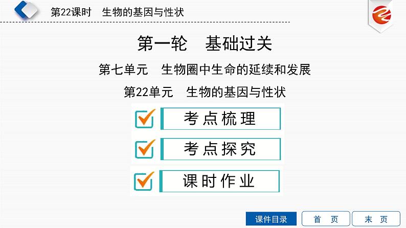 初中生物中考复习 第22单元　生物的基因与性状课件PPT02