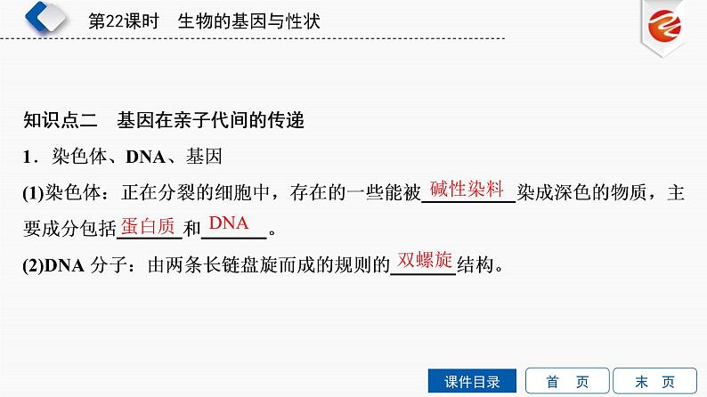 初中生物中考复习 第22单元　生物的基因与性状课件PPT04