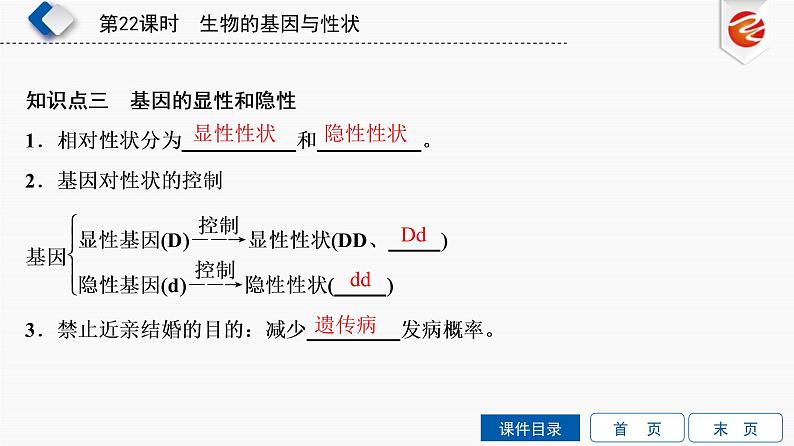 初中生物中考复习 第22单元　生物的基因与性状课件PPT06