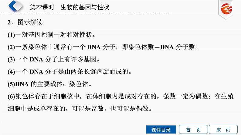 初中生物中考复习 第22单元　生物的基因与性状课件PPT08