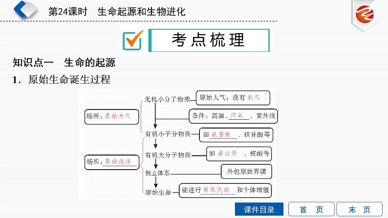 初中生物中考复习 第24单元　生命起源和生物进化课件PPT03