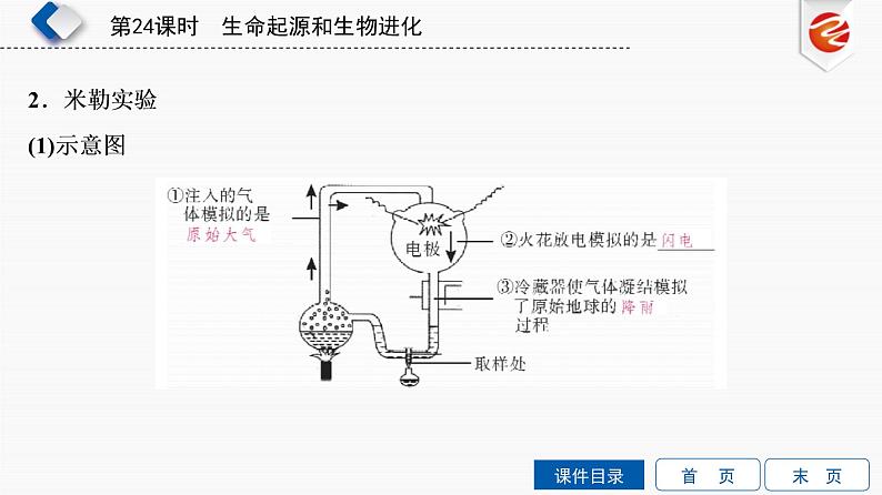 初中生物中考复习 第24单元　生命起源和生物进化课件PPT04